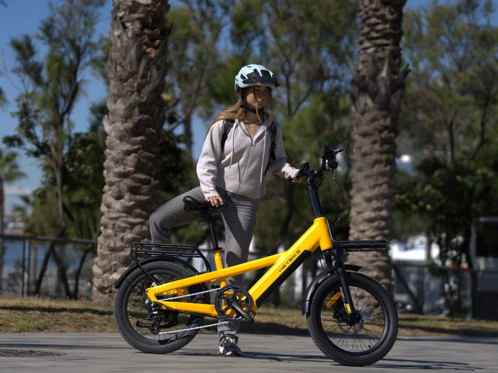 EC Compact Sport Cargo Ebike