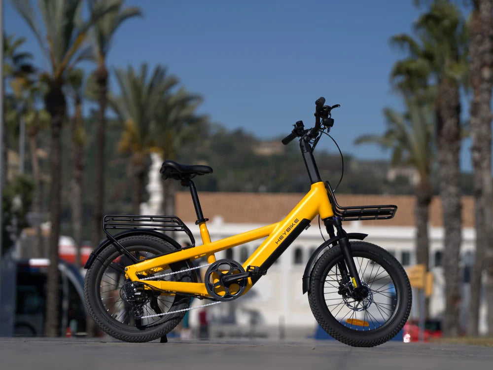 EC Compact Sport Cargo Ebike