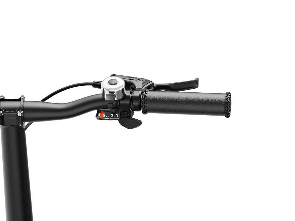 Helio F - Artists Limited Edition