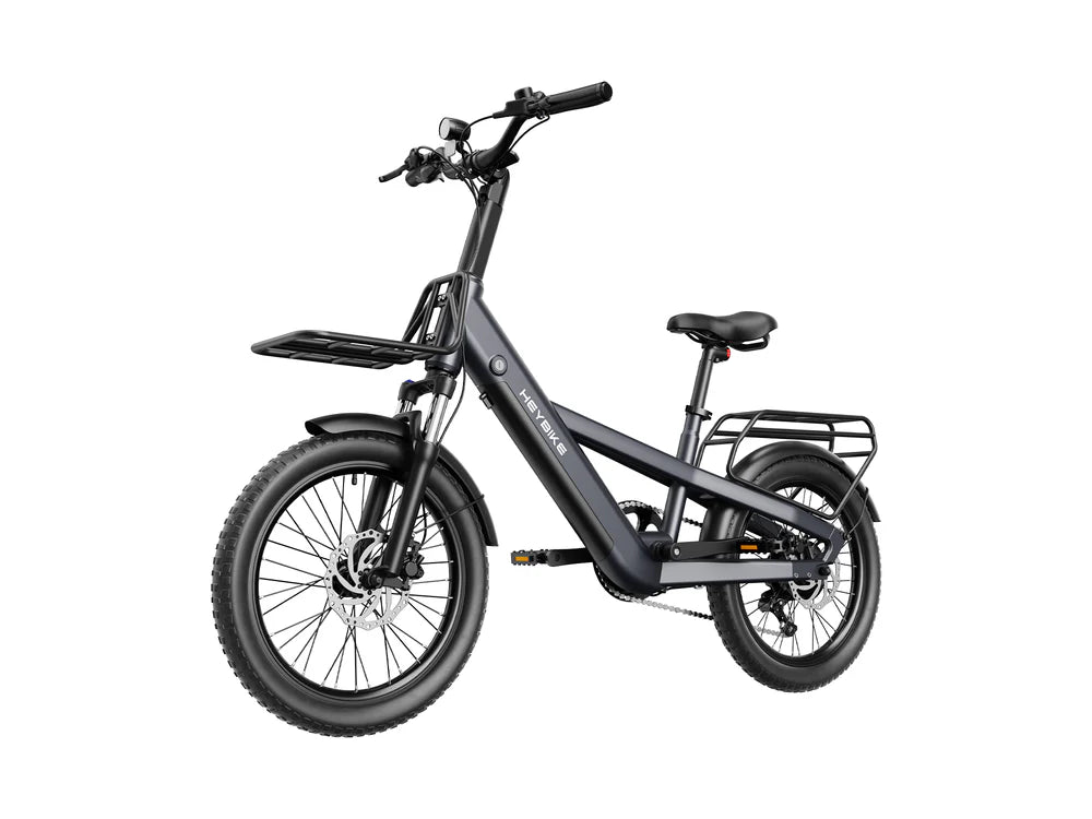EC Compact Sport Cargo Ebike