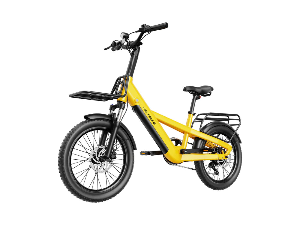 EC Compact Sport Cargo Ebike